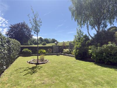 Picture 26